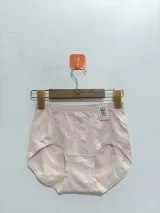Women's 7A Antibacterial High-Waist Panty - Style 8801BRIEF - image 1