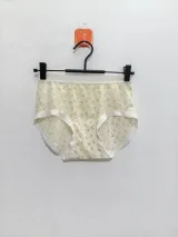 Women's Floral Mesh-Panel High-Waist Briefs - Style 6156 - image 5