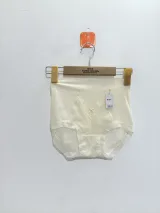 Women's High-Waist Sheer-Mesh Shaping Briefs with V-Panel - Style 1036 - image 2