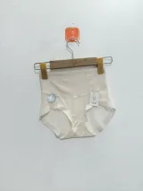 Women's Mesh-Panel High-Waist Briefs - Style 1001 - image 2