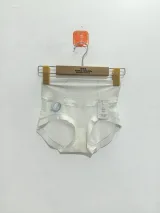 Women's Mesh-Panel High-Waist Briefs - Style 1001 - image 3