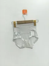 Women's Mesh-Panel High-Waist Briefs - Style 1001 - image 4