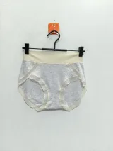Women's Mesh-Trim High-Waist Panty - Style 218 - image 1