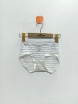 Women's Sheer-Stripe High-Waist Briefs - Style 9345 - image 5