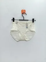 Women's Sheer-Stripe High-Waist Briefs - Style 9345 - image 6
