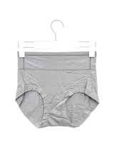 Women's Smooth High-Waist Briefs - Style 3532 - image 3