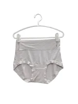 Women's Smooth High-Waist Briefs - Style 3532 - image 5
