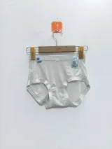 Women's Smooth High-Waist Briefs with Logo Trim - Style 33016 - image 1