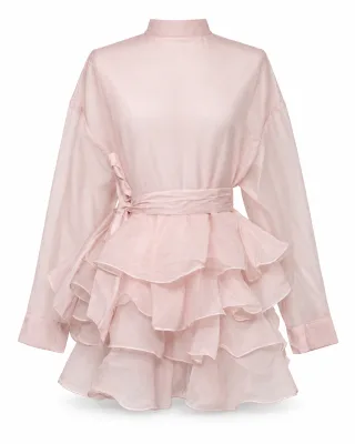 Sheer Organza Ruffle Dress