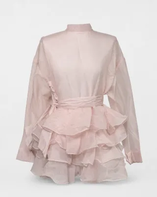 Sheer Organza Ruffle Dress