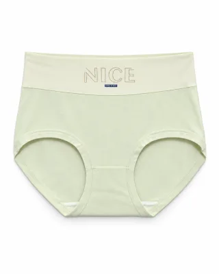 Women's Nice Dreams Cloud-Feel High-Waist Panty - Style 20