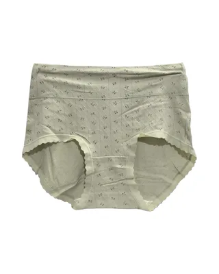 Women's XINMENGER Printed High-Waist Briefs - Style 5908