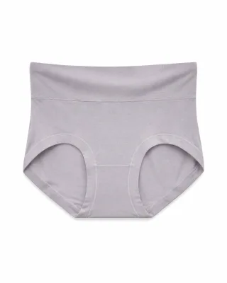 Women's Smooth High-Waist Briefs - Style 3532