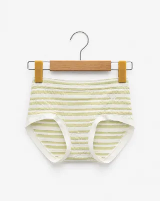 Women's Sheer-Stripe High-Waist Briefs - Style 9345