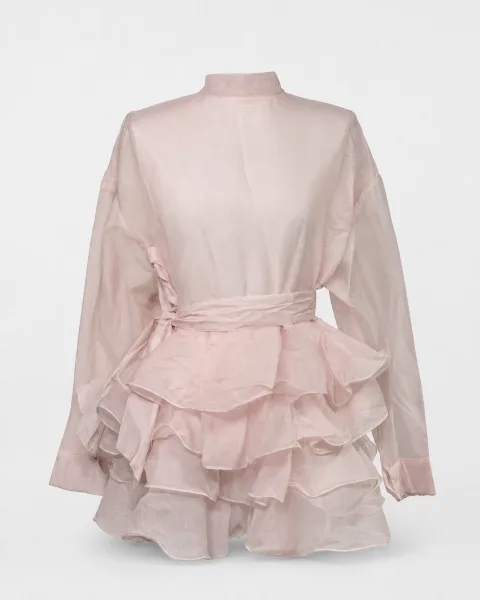 Sheer Organza Ruffle Dress