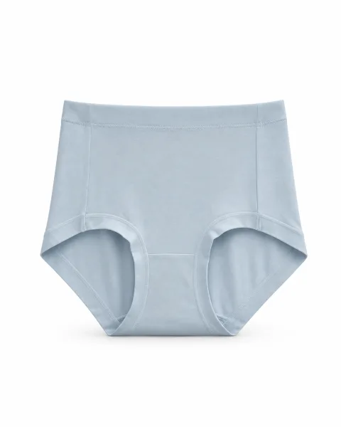 Women's Seamless High-Waist Shaping Panty - Style 2096 - alternate view