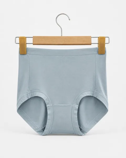 Women's Seamless High-Waist Shaping Panty - Style 2096 - alternate view