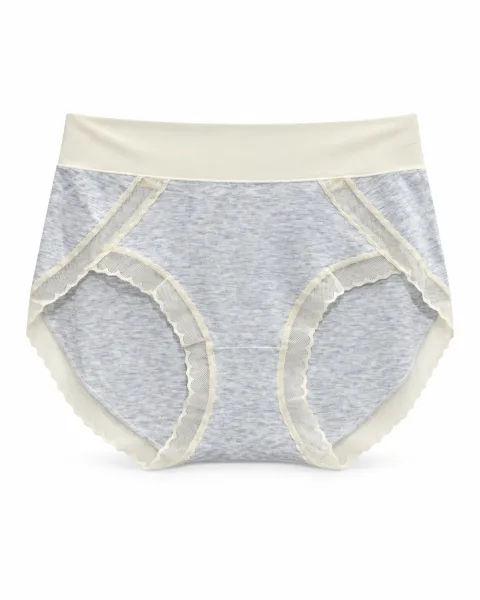 Women's Mesh-Trim High-Waist Panty - Style 218