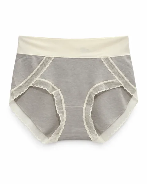 Women's Mesh-Trim High-Waist Panty - Style 218 - alternate view