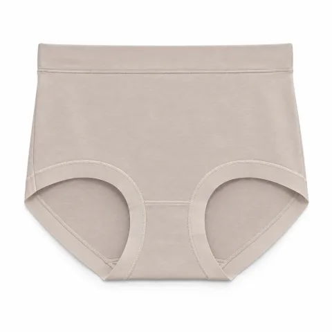 Women's Smooth High-Waist Panty - Style 2023
