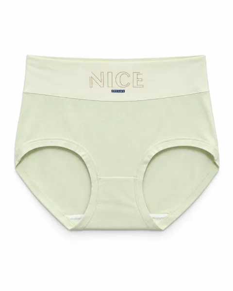 Women's Nice Dreams Cloud-Feel High-Waist Panty - Style 20