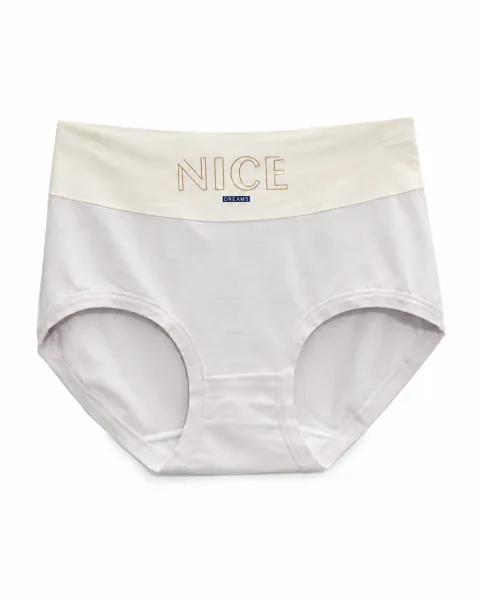 Women's Nice Dreams Cloud-Feel High-Waist Panty - Style 20 - alternate view