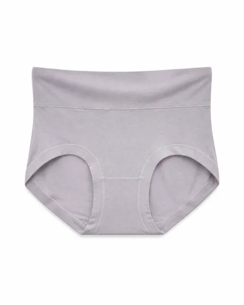 Women's Smooth High-Waist Briefs - Style 3532