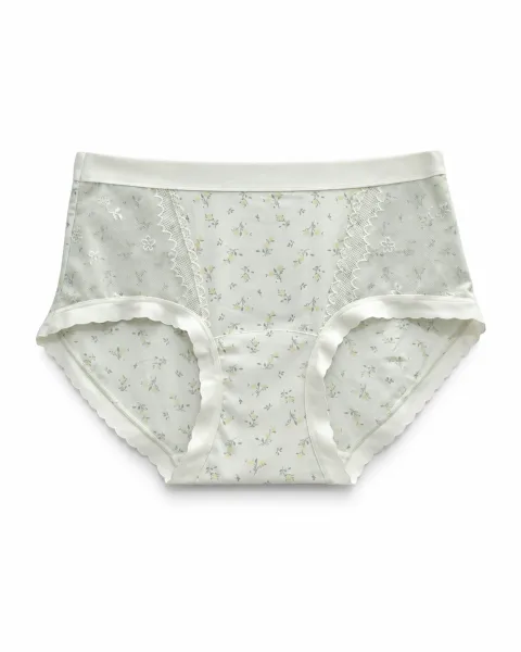 Women's Floral Mesh-Panel High-Waist Briefs - Style 6156