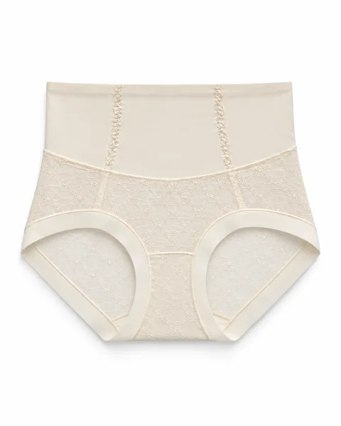 Women's Mesh-Panel High-Waist Briefs - Style 1001 - alternate view