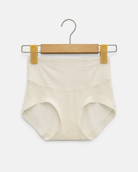 Women's Mesh-Panel High-Waist Briefs - Style 1001 - alternate view