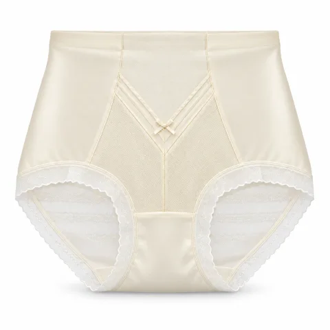 Women's High-Waist Sheer-Mesh Shaping Briefs with V-Panel - Style 1036 - বিকল্প ছবি