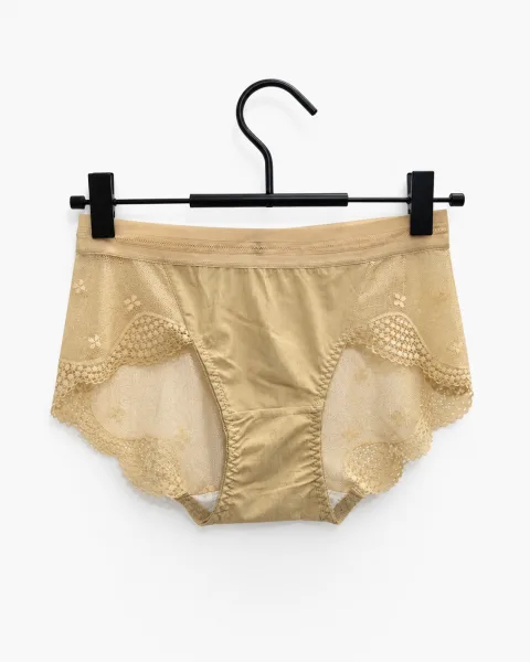 Women's Lace-Panel Mid-Rise Briefs - Style 8271