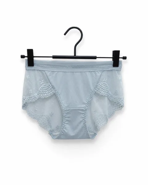 Women's Lace-Panel Mid-Rise Briefs - Style 8271 - alternate view